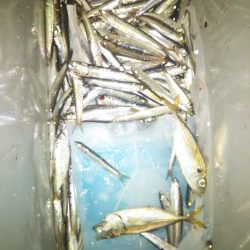 南港フェリー乗り場