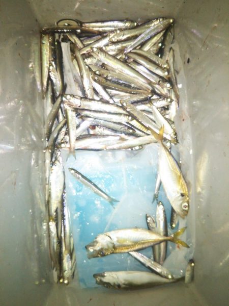 南港フェリー乗り場