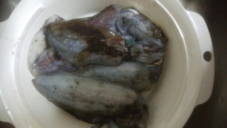 朝マズメ　アオリイカ4杯！！