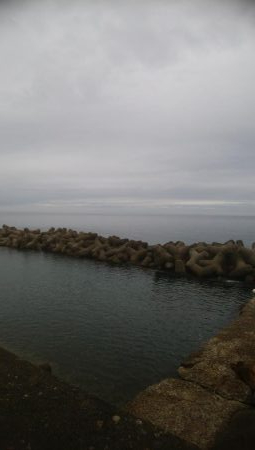 アオリイカ 朝マズメ狙い 8杯!