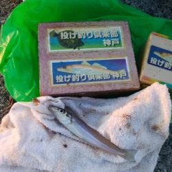 チャリコ湧きキス何処へ