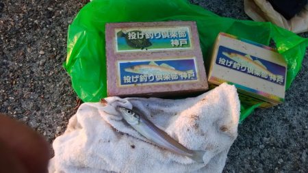 チャリコ湧きキス何処へ