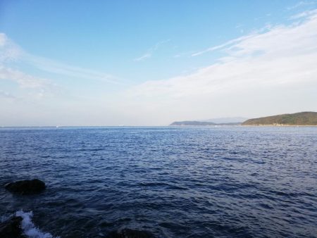 ショアジギング