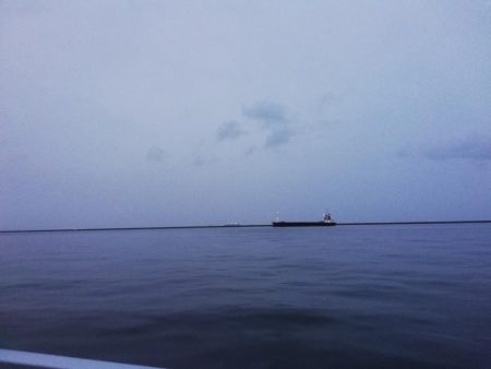 大潮なのに渋い…