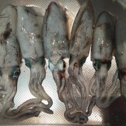 上向いてきました！