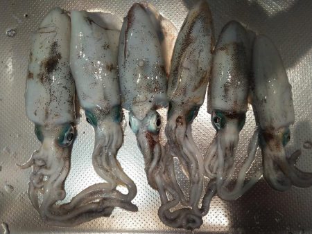 上向いてきました！