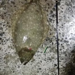 やったりやした