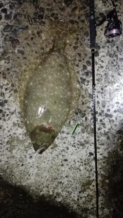 やったりやした