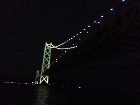 活性が低いタチウオは