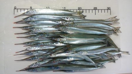 もう少しサイズがほしい