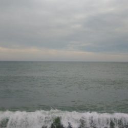 夜明け前は紀の川河口、その後煙樹ヶ浜へ!