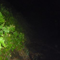 浮きごみ周りで