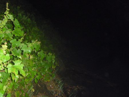 浮きごみ周りで