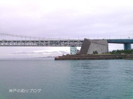 サビキで小アジ！