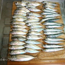 ファミリーフィッシング