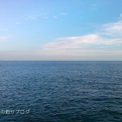 タチウオ狙い