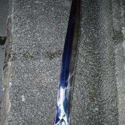 雨前の太刀魚調査