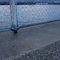 タチウオ貝塚遠征3日目