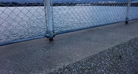 タチウオ貝塚遠征3日目