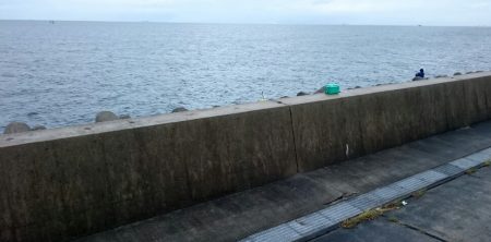 タチウオ貝塚遠征最終日