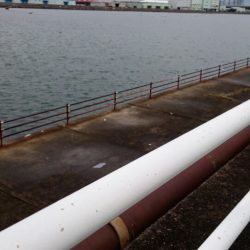 毎日タチウオ釣行