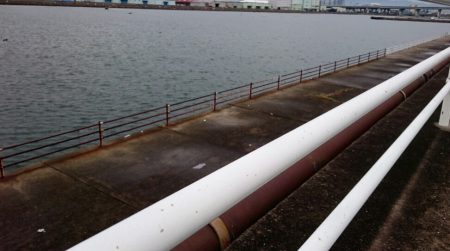 毎日タチウオ釣行