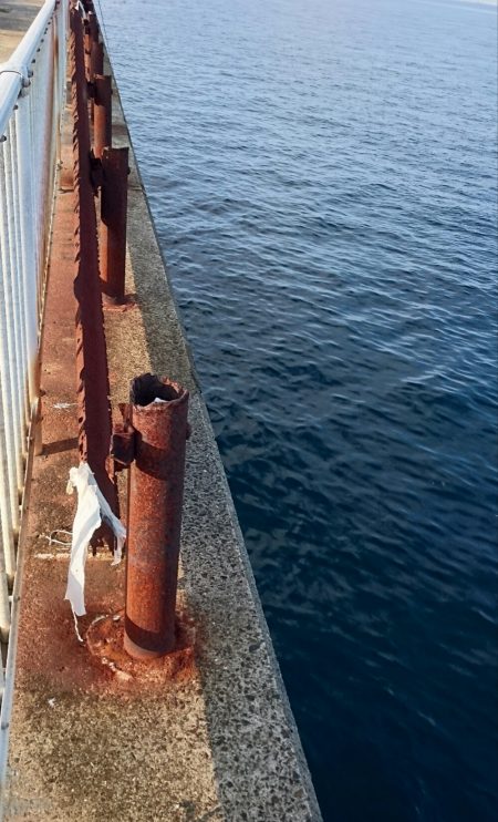 連休中のタチウオプチ遠征