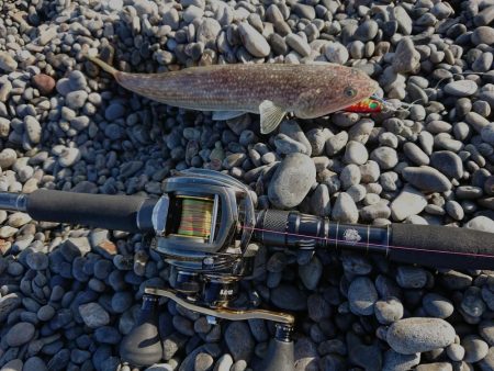 青物、太刀魚狙い