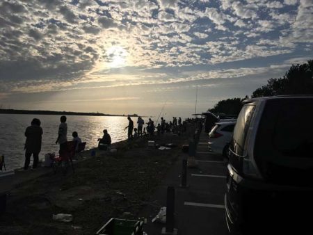 舞洲・夢舞大橋下のタチウオ&サビキ