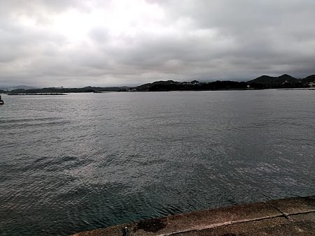 アオリイカ釣れました!!