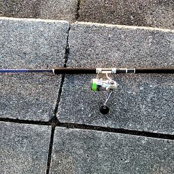 朝マヅメで　シオ(カンパチの小型)2本上がりました。