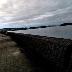 今年初めての太刀魚でした!!