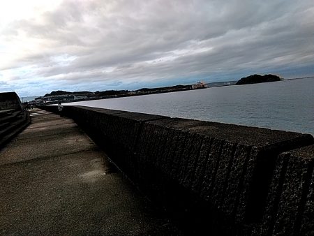 今年初めての太刀魚でした!!