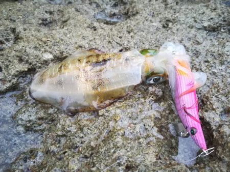 とりあえず雨がですねー・・・