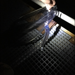 タチウオ釣り最高!!