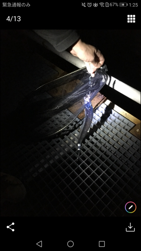 タチウオ釣り最高!!