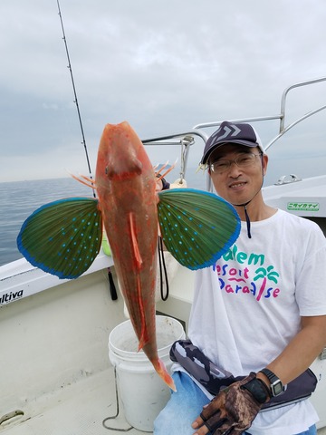 遊漁船　ニライカナイ 釣果