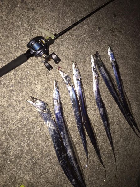 台風前また入れ食い