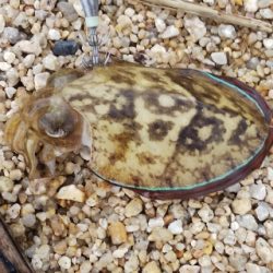 雨の合間の釣行