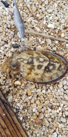 雨の合間の釣行