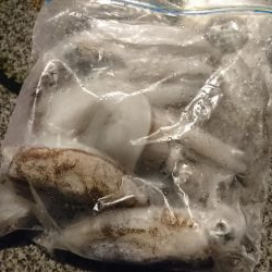 初めての釣り場で!