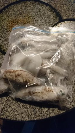 初めての釣り場で!