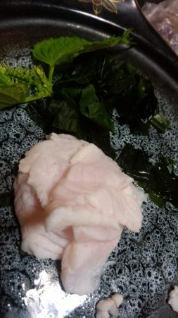 ロックショアジギ