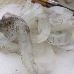 初の船外機ボート釣り