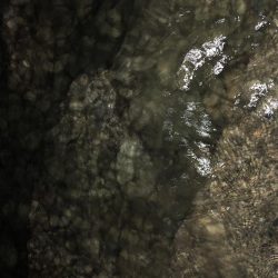 久しぶりだけど、