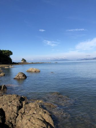帰省釣行(津奈木町)最終日