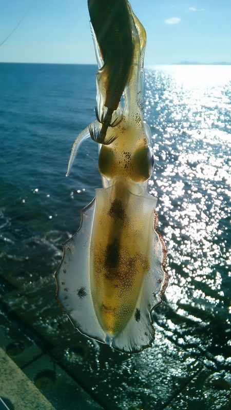 成長ちゅう～！