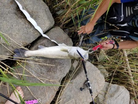 ランカーサイズ！