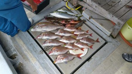 虎ノ介さんでタイラバでタイ3枚