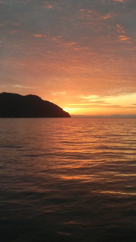 腕おちた・・・